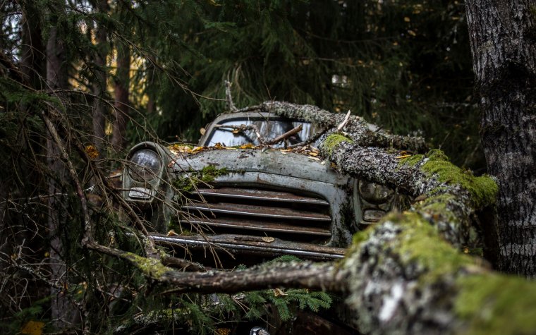 Разбитая машина в лесу