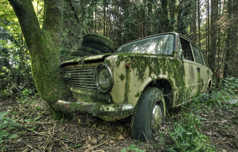 Заброшенная ВАЗ 2102 В лесу