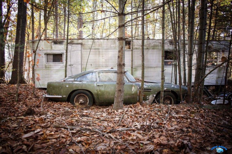 Нашли машину в лесу