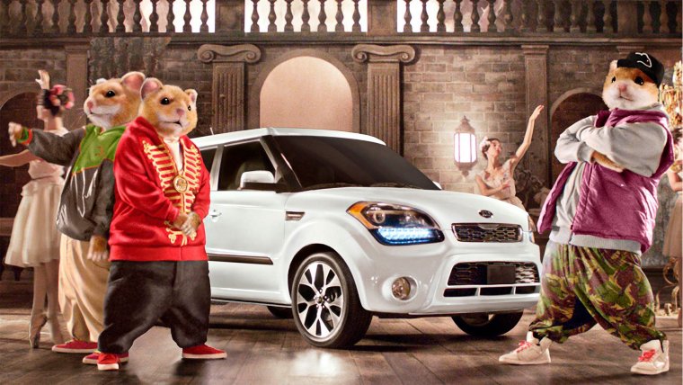 Хомяк в машине