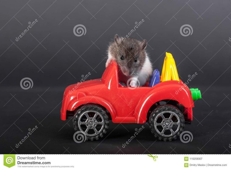 Реклама Киа соул