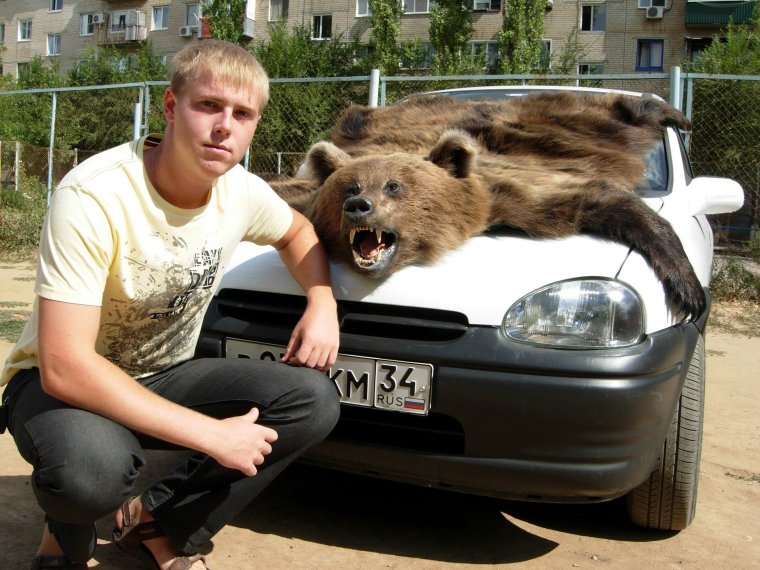 Белочка за рулем