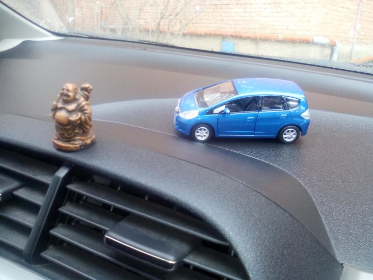 Милые хомяки