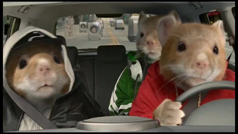 Крыса в машинке