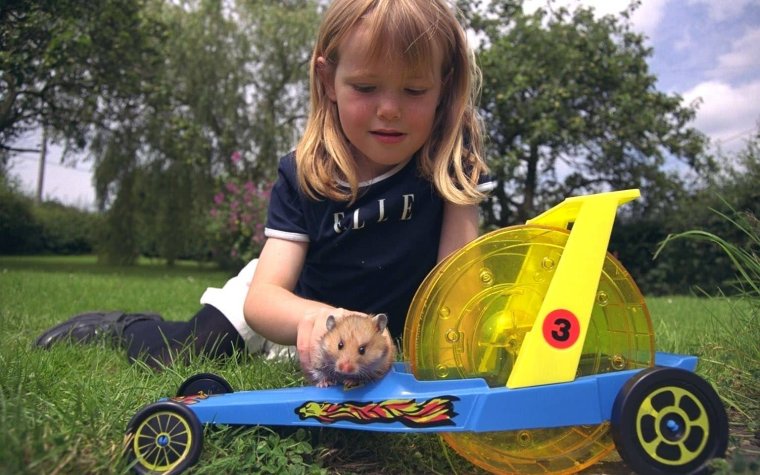 Kia Soul хомяки