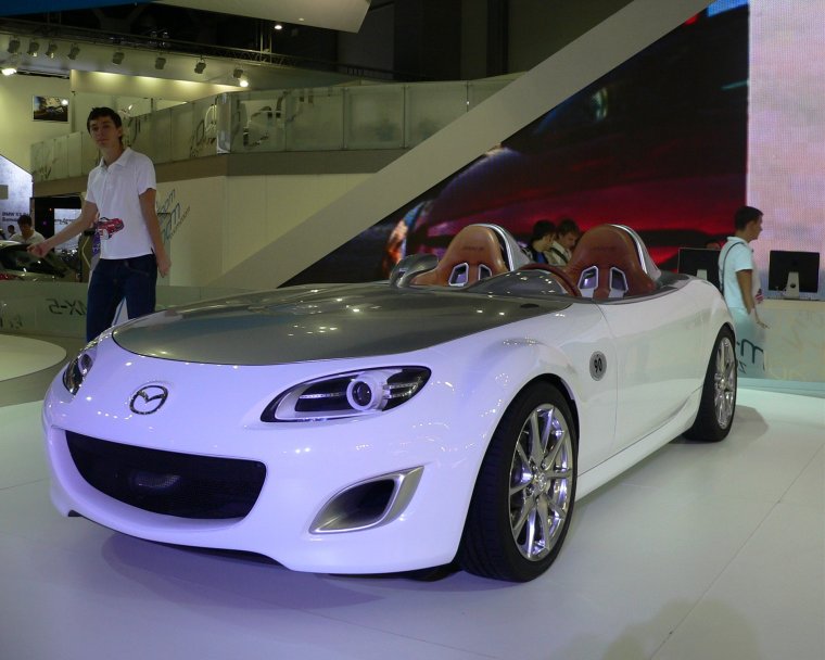 Автосалон в 2010 году