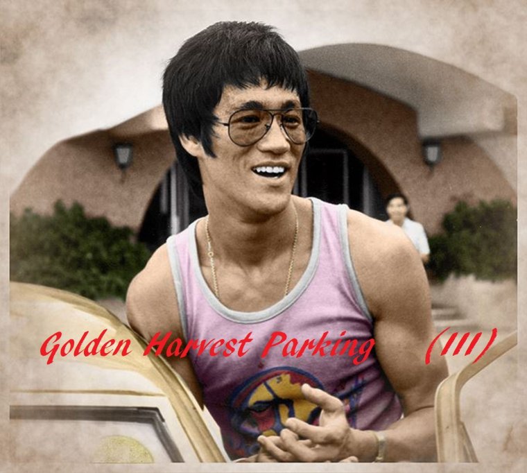 Bruce Lee Ochki