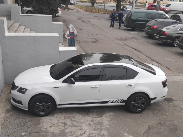 Октавия 2021 с черной крышей