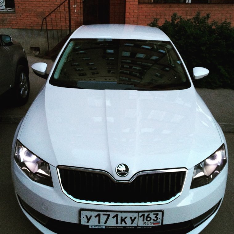 Черная решетка Октавия а7