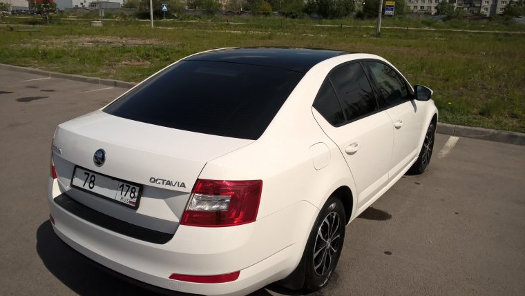 Skoda Octavia a7 белая с черной крышей