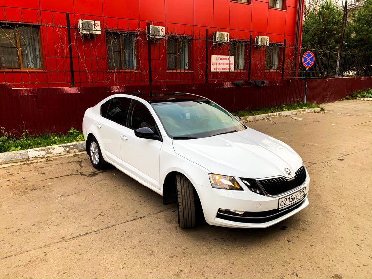 Шкода Октавия 2019 белая с черной крышей