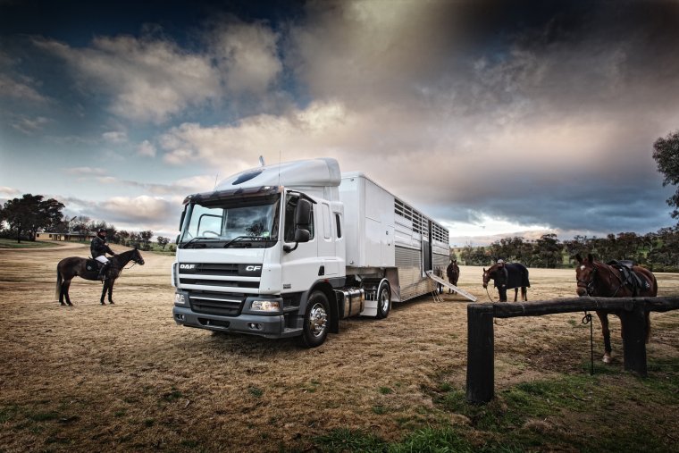 Скания коневоз