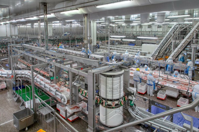 Транспортировка скота автомобильным транспортом