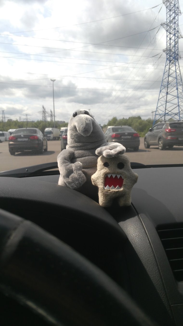 Ждун с машинкой