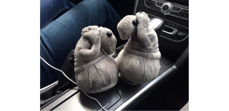 Тапочки ждуны