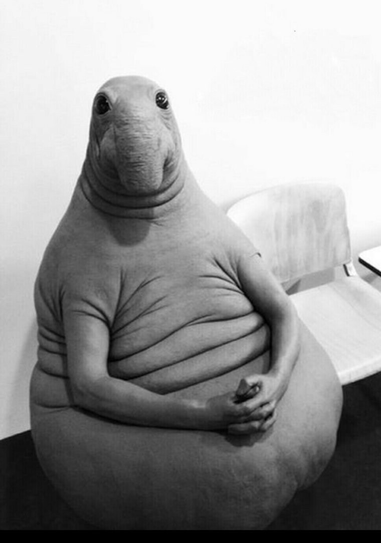 Ждун на дороге