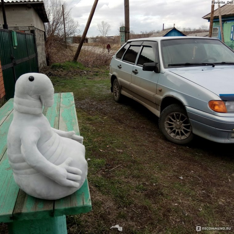 Ждун в машине картинки