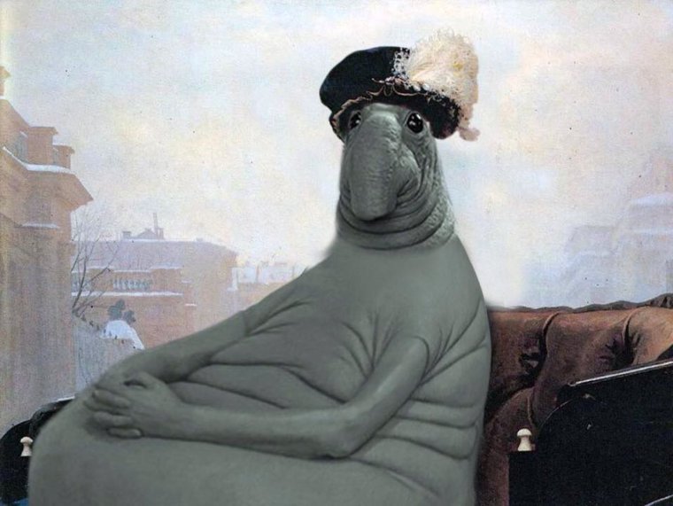 Откуда появился Ждун