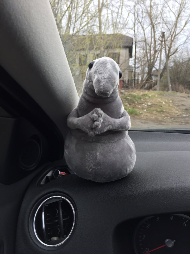 Ждун в машине БМВ