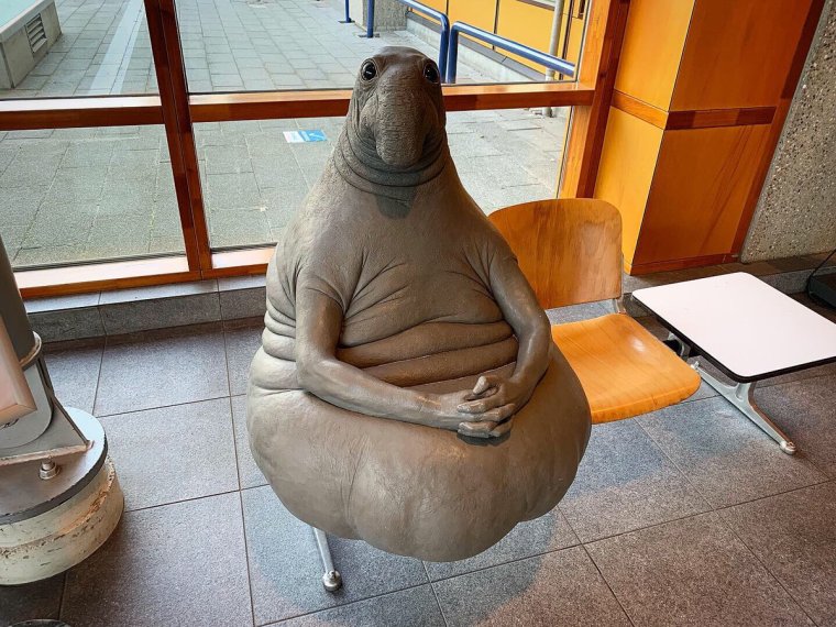 Ждуны приколы