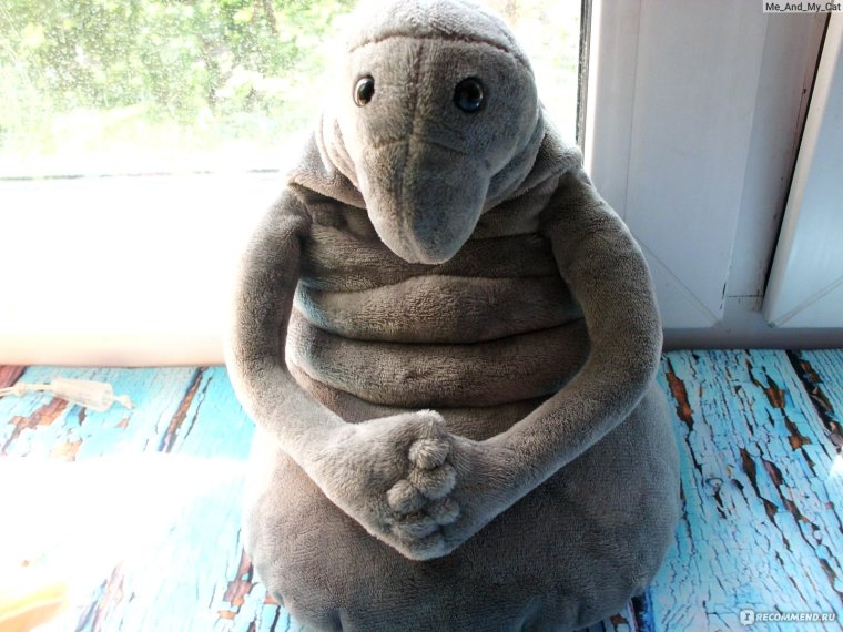 Девушка в машине БМВ