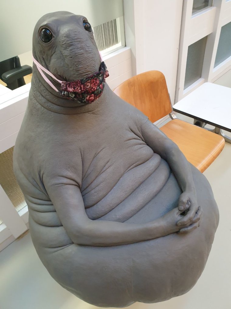 Собака обиделась фото приколы