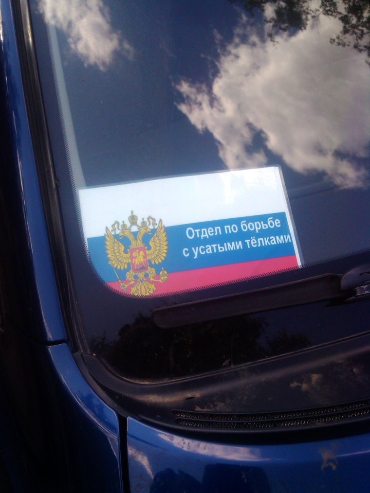 Пропуск под лобовое стекло