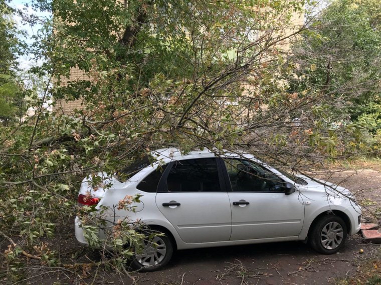 Битая Гранта белая 2019 года