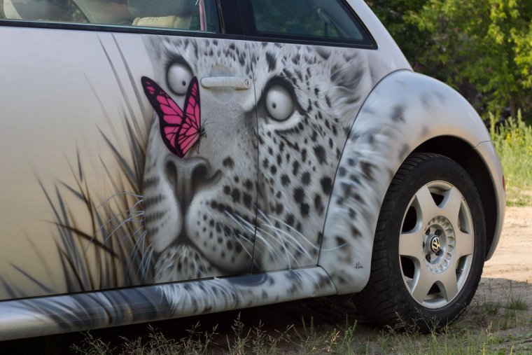 Аэрография дельфины на авто