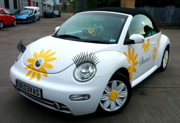 Аэрография на авто Беззубик