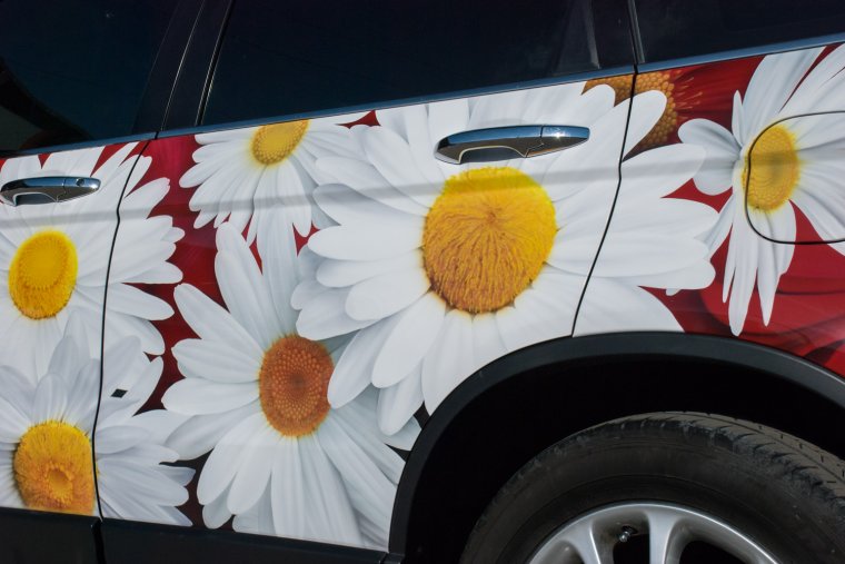 Аэрография быка на авто