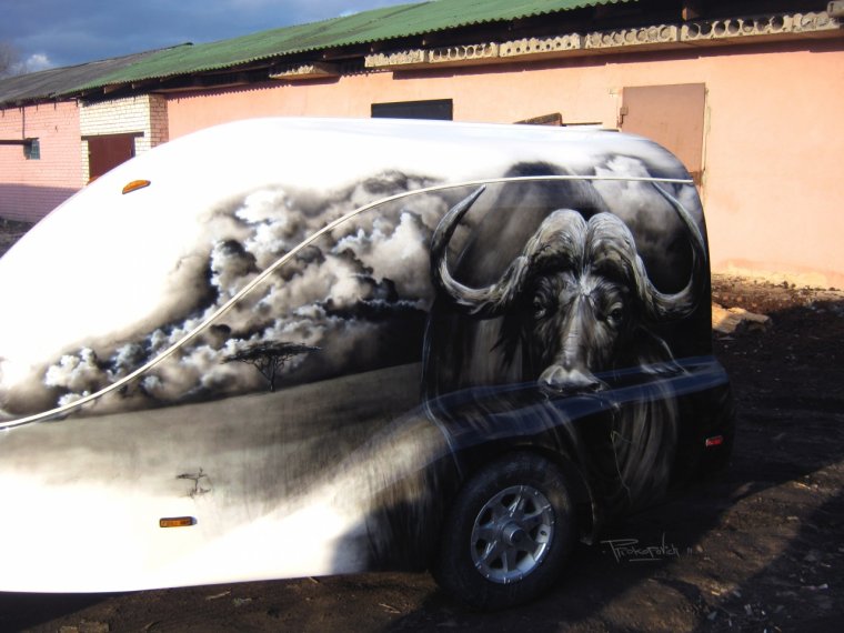 Аэрография бык