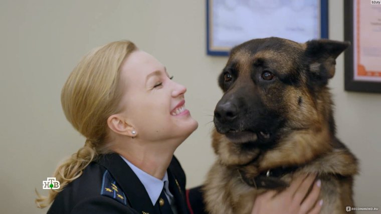 Александр носик и Мухтар