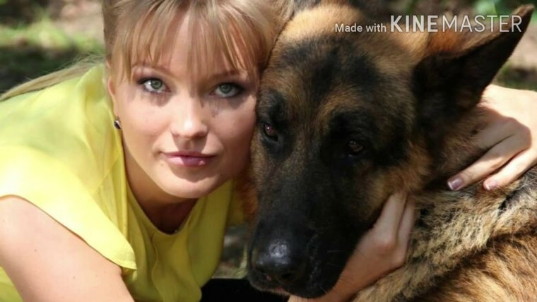 Возвращение Мухтара сериал актёрыljcrfgjxtnf