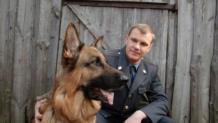 Возвращение Мухтара 5 сезон 85 серия