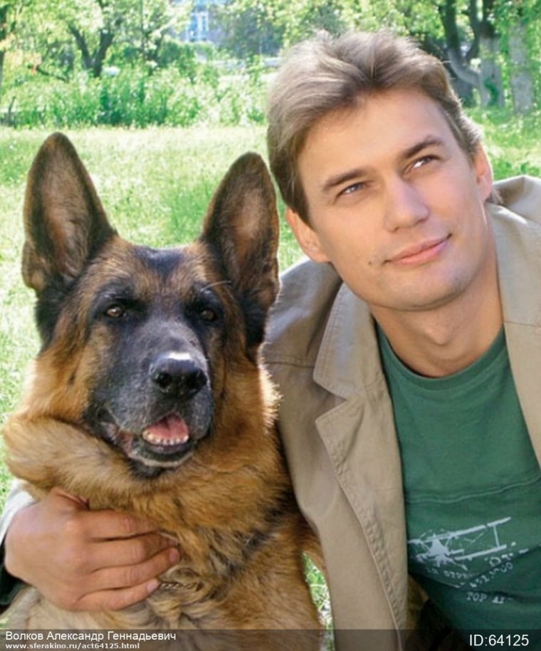 Сериал "Возвращение Мухтара - 2": "новогодний полдник"