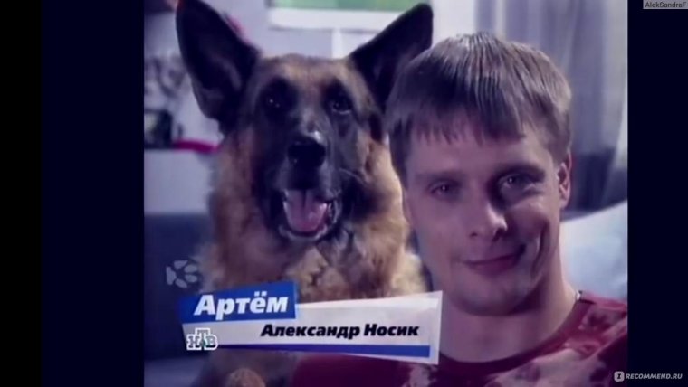 Алексей Моисеев Мухтар новый след