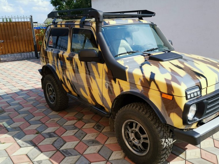 Нива Бронто Рысь