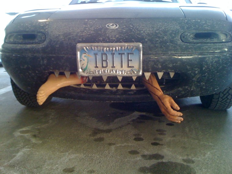 Зубы на бампере авто