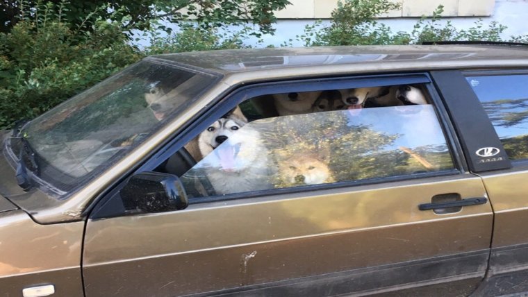 Картинка напичканный допами автомобиль