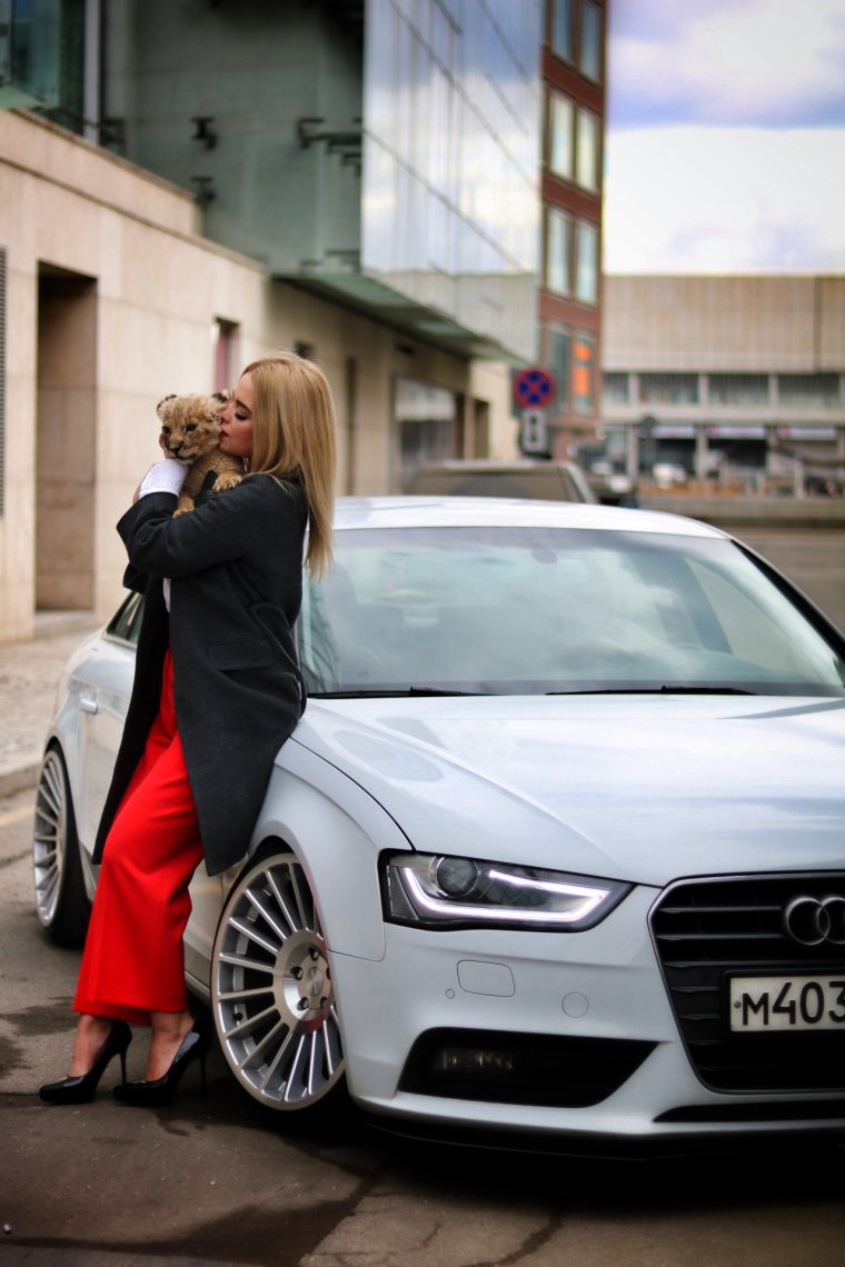 Ауди Демина