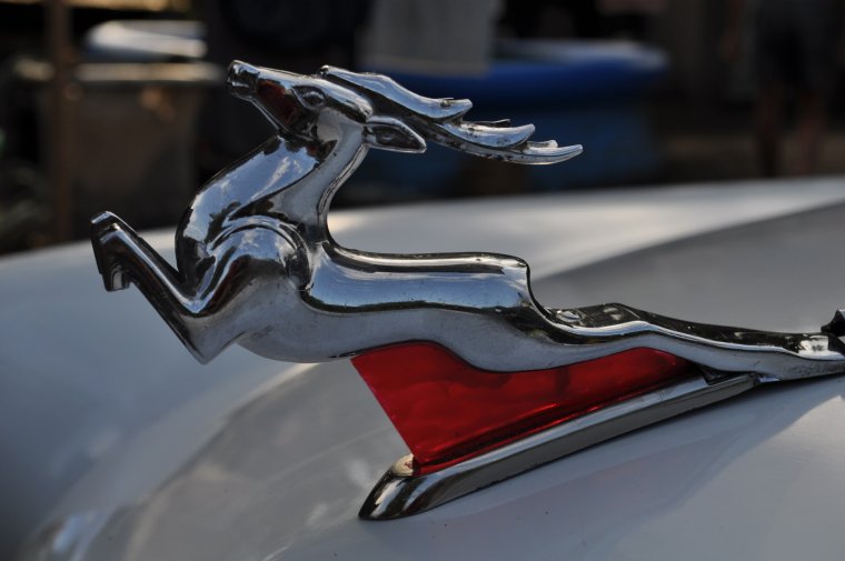 Yaguar na капот машины