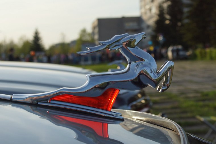 Рендж Ровер Эвок девушкам