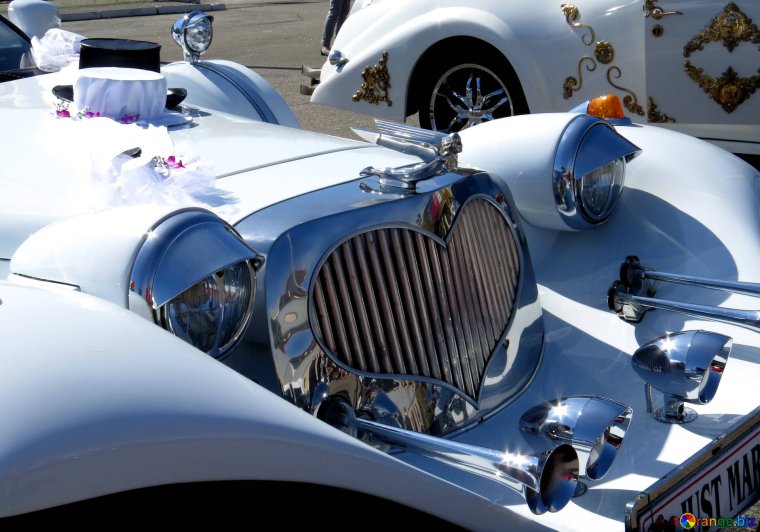 Значки на капот автомобиля