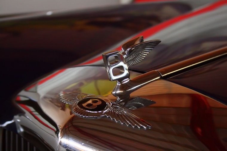 Корова на капоте машины