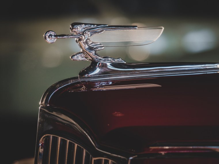 Автомобиль с птицей на капоте