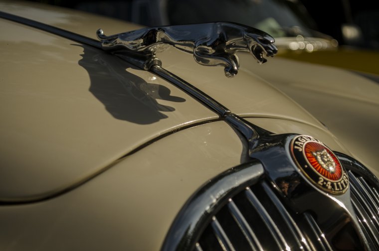 Утка на капоте машины