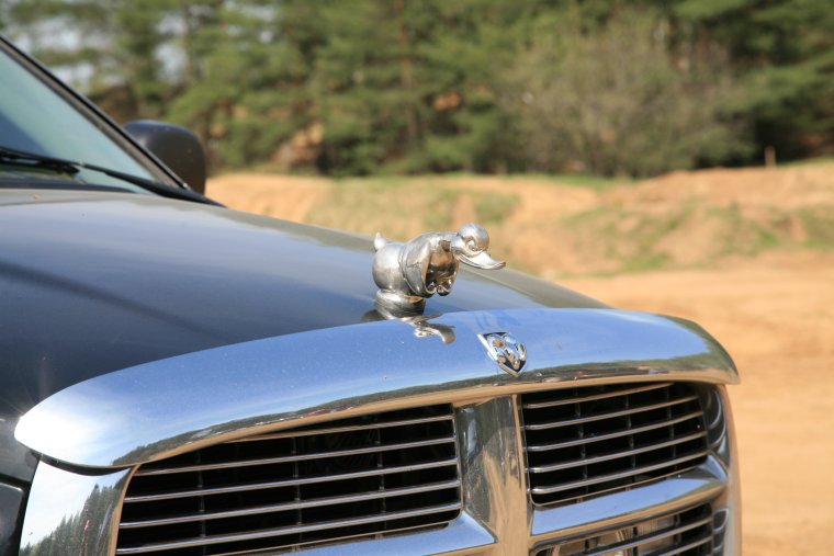 Машина с утенком на капоте