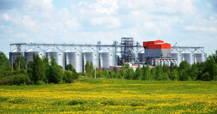 Фирменный магазин Великолукский мясной комбинат