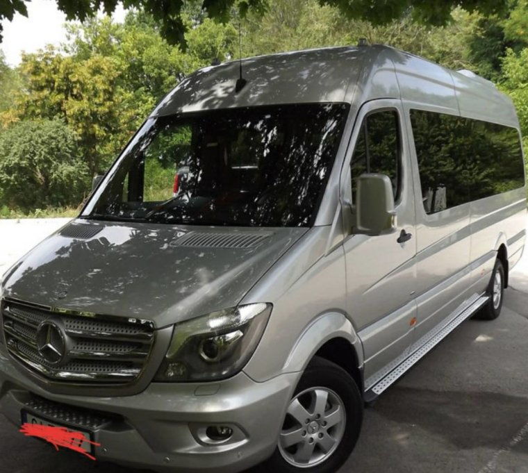Мерседес Спринтер Делфин